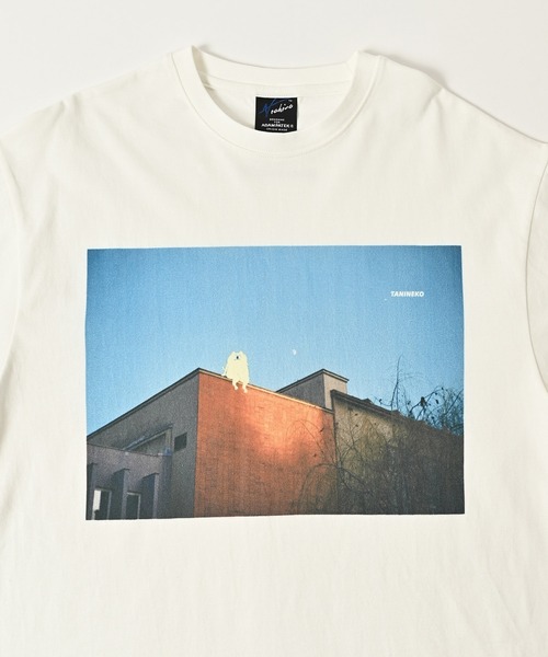 ADAM PATEK（アダムパテック）の「【ADAMPATEK/アダムパテック】TANINEKO collaboration コラボTee（Tシャツ/カットソー・メンズ・A/B/C・1/2）」の16枚目の写真