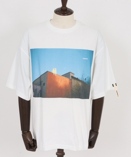 ADAM PATEK（アダムパテック）の「【ADAMPATEK/アダムパテック】TANINEKO collaboration コラボTee（Tシャツ/カットソー・メンズ・A/B/C・1/2）」の15枚目の写真