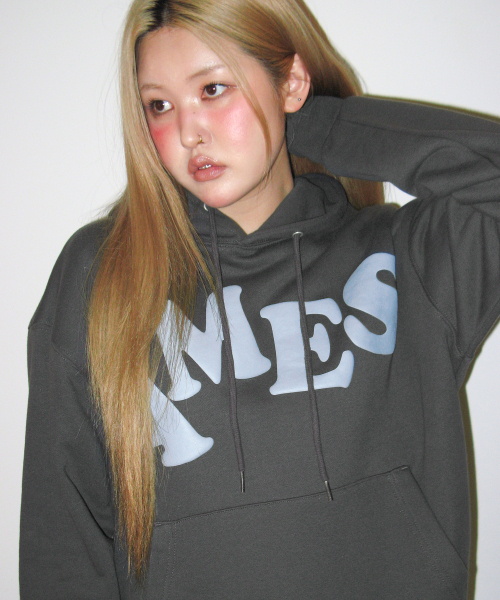 AMESWORLDWIDE(アメスワールドワイド)の「BIG TYPO HOODIE CHARCOAL(パーカー・レディース・その他・SMALL/MEDIUM/LARGE)」の4枚目の写真