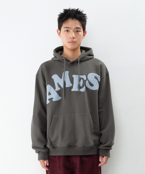 AMESWORLDWIDE(アメスワールドワイド)の「BIG TYPO HOODIE CHARCOAL(パーカー・レディース・その他・SMALL/MEDIUM/LARGE)」の10枚目の写真