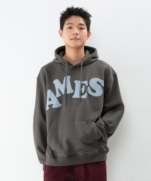 AMESWORLDWIDE(アメスワールドワイド)の「BIG TYPO HOODIE CHARCOAL(パーカー・レディース・その他・SMALL/MEDIUM/LARGE)」の14枚目の写真