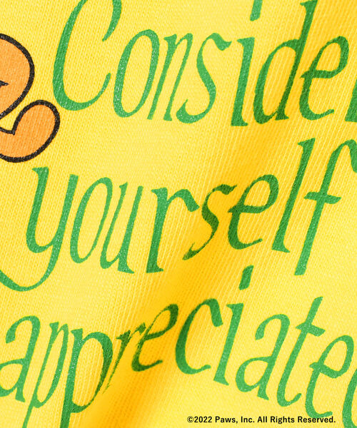 Ray BEAMS（レイビームス）の「GARFIELD × Ray BEAMS / 別注 mini Tシャツ（Tシャツ/カットソー・レディース・イエロー/ブラック/ホワイト・ONE SIZE）」の15枚目の写真