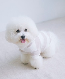 gelato pique(WF[gsP)́yCAT&DOGzy̘H菤izX[YB[Q{[_[dogp[J(ybgEFA)