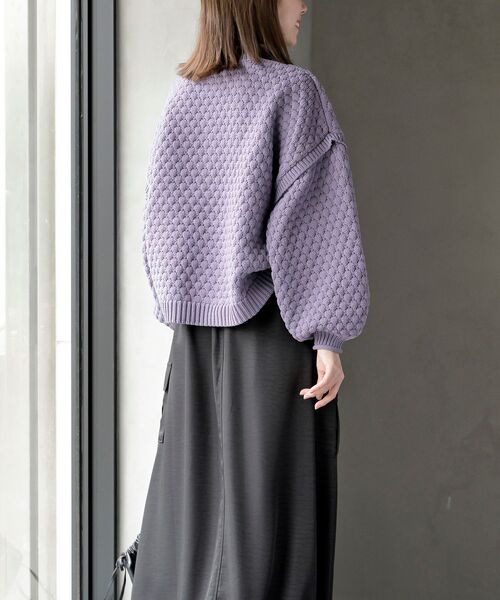 スケールあみハイネックニットプルオーバー（ニット/セーター）｜rps
