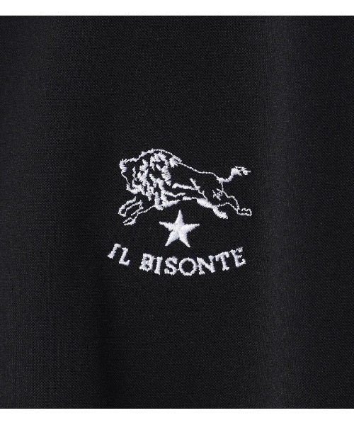 完売品【IL BISONTE×MIZUNO】Ｔシャツ　M ブラック　刺繍　ロゴ 完売品【IL BISONTE×MIZUNO】Tシャツ M ブラック 刺繍 ロゴ