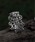 Burnerio[i[j́uyOKUOKU@0909z}` fUC O oku-ring-g3iOjvbVo[O[