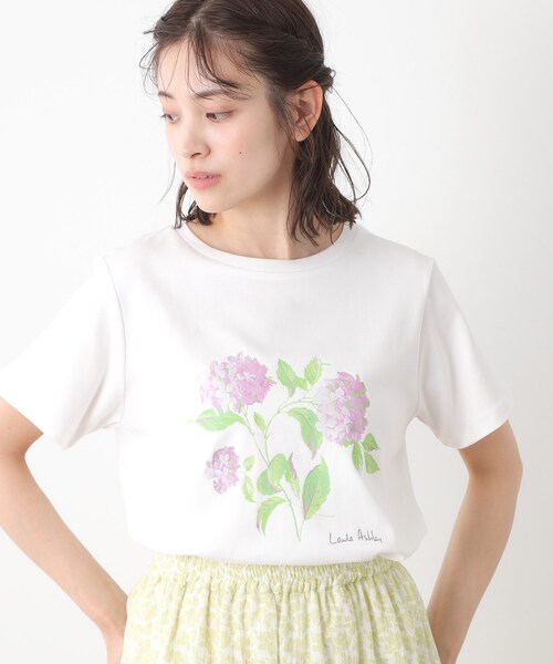 LAURA ASHLEY(ローラアシュレイ)の「【コットン100%/洗える】ハイドランジア柄Tシャツ(Tシャツ/カットソー・レディース・サックスブルー/オフホワイト/ネイビー・38/40)」の4枚目の写真