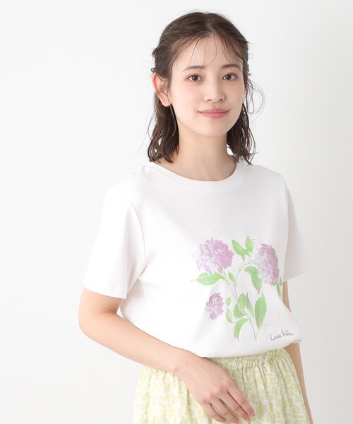 LAURA ASHLEY(ローラアシュレイ)の「【コットン100%/洗える】ハイドランジア柄Tシャツ(Tシャツ/カットソー・レディース・サックスブルー/オフホワイト/ネイビー・38/40)」の5枚目の写真