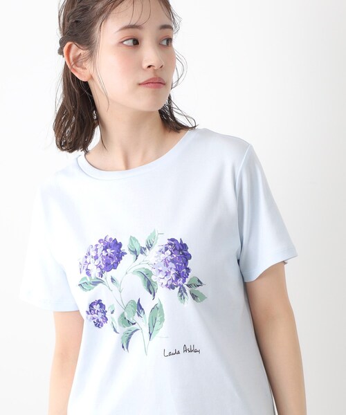 LAURA ASHLEY(ローラアシュレイ)の「【コットン100%/洗える】ハイドランジア柄Tシャツ(Tシャツ/カットソー・レディース・サックスブルー/オフホワイト/ネイビー・38/40)」の8枚目の写真