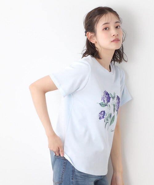 LAURA ASHLEY(ローラアシュレイ)の「【コットン100%/洗える】ハイドランジア柄Tシャツ(Tシャツ/カットソー・レディース・サックスブルー/オフホワイト/ネイビー・38/40)」の9枚目の写真