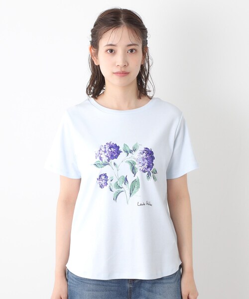 LAURA ASHLEY(ローラアシュレイ)の「【コットン100%/洗える】ハイドランジア柄Tシャツ(Tシャツ/カットソー・レディース・サックスブルー/オフホワイト/ネイビー・38/40)」の16枚目の写真