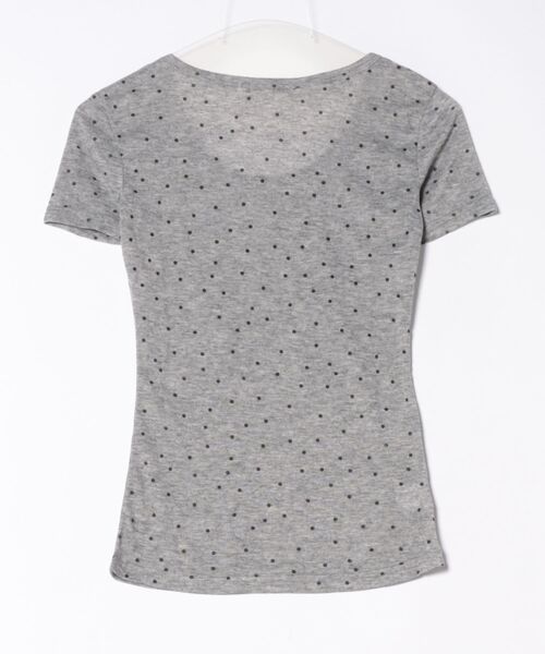 HALEY PESCA（ヘーリーペスカ）の「HALEY PESCA/シースルー　ドット柄半袖トップス（Tシャツ/カットソー・レディース・グレー/アイボリー・SMALL/MEDIUM）」の13枚目の写真