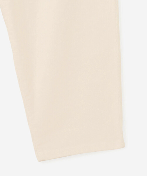 DANTON（ダントン）の「DANTON | ストレッチコーデュロイ イージーパンツ WOMEN（その他パンツ・レディース・ダークグレー/アイボリー/グレイッシュベージュ/オレンジ・36）」の10枚目の写真