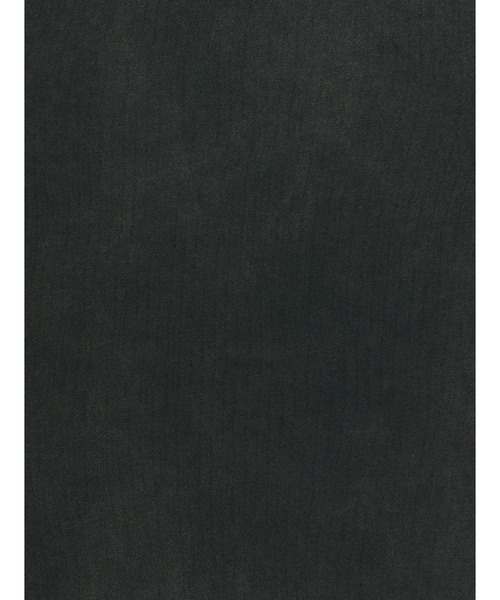 Levi's（リーバイス）の「Levi's/リーバイス ヴィンテージ ショートスリーブTシャツ（Tシャツ/カットソー・レディース・ブラック・M/S/XS）」の4枚目の写真