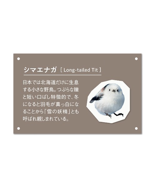 IEDIT(イディット)の「【旭山動物園コラボ】IEDIT シマエナガみたいな ふんわりフォルムがかわいいパーカー〈ホワイト〉(パーカー・レディース・ホワイト・LL/3L/L/M/S)」の13枚目の写真