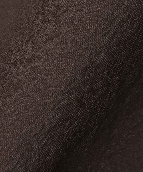 DRESSLAVE(ドレスレイブ)の「silky sheer blouse(シルキーシアーブラウス)(シャツ/ブラウス・レディース・ブルー/ブラウン・38)」の21枚目の写真