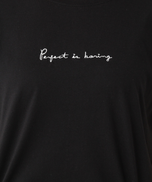 LEPSIM(レプシィム)の「ロゴシシュウヘンケイT/SS 749494(Tシャツ/カットソー・レディース・オフホワイト/トップグレー/ブラック・FREE)」の14枚目の写真