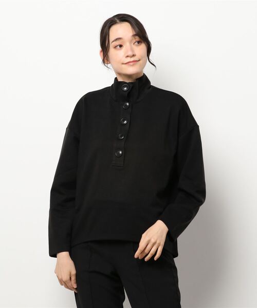 HELIOPOLE(エリオポール)の「WOOL JERSEY STAND NECK PO(Tシャツ/カットソー・レディース・ブラック/ダークブラウン・1)」の1枚目の写真