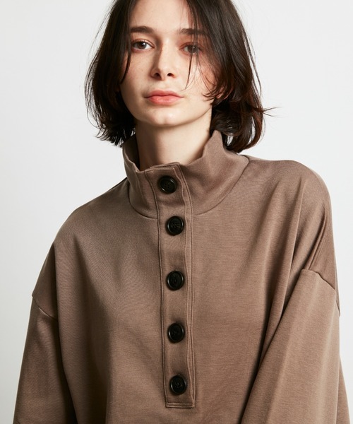 HELIOPOLE(エリオポール)の「WOOL JERSEY STAND NECK PO(Tシャツ/カットソー・レディース・ブラック/ダークブラウン・1)」の6枚目の写真