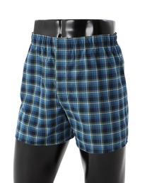 HANES(wCY)́yHanes/wCYzY O[oo[C gNX(gNX)