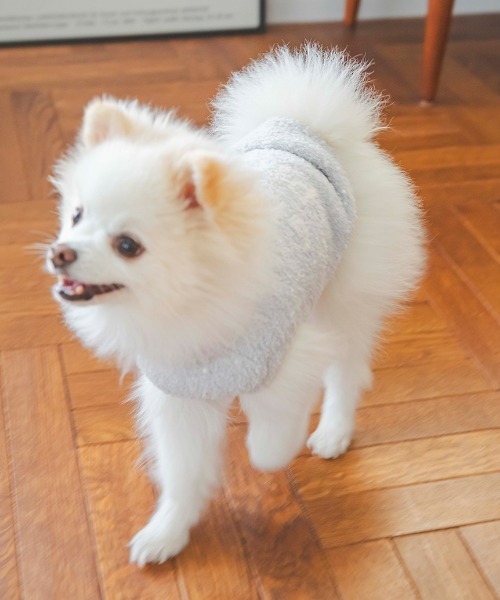 【CAT&DOG】【販路限定商品】ベビモコネップdogプルオーバー（ペットウェア）｜gelato pique（ジェラートピケ）