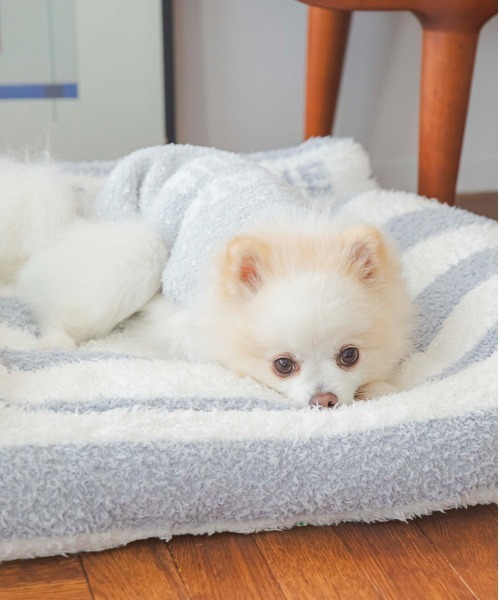 【CAT&DOG】【販路限定商品】ベビモコネップdogプルオーバー（ペットウェア）｜gelato pique（ジェラートピケ）