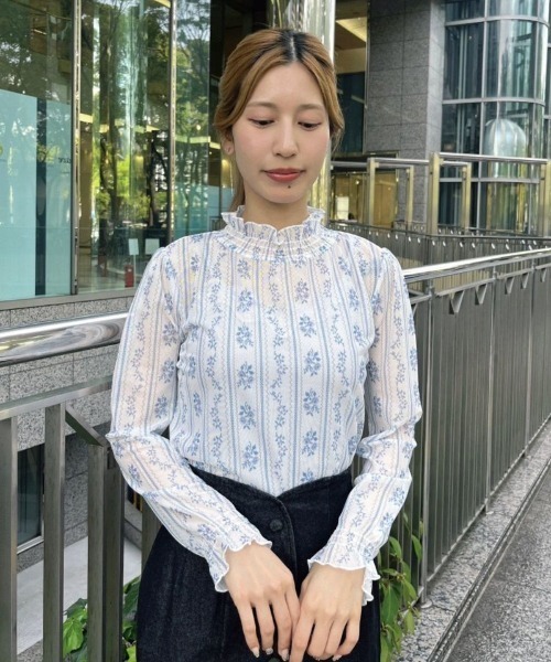 F i.n.t（フィント）の「ストライプローズ柄シアートップス/fint　フィント（Tシャツ/カットソー・レディース・ピンク/ブルー・FREE）」の2枚目の写真