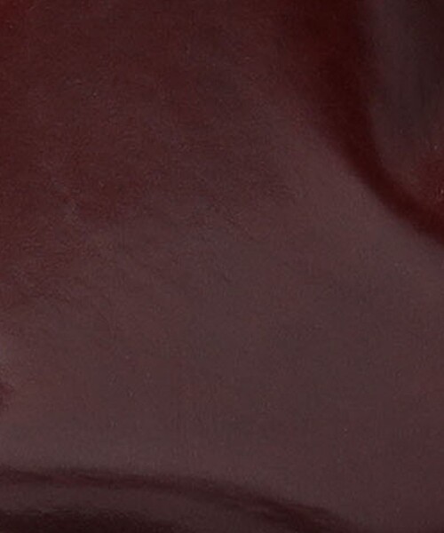 TOMORROWLAND （トゥモローランド）の「BONASTRE 10 RUE DU PRECHE L トートバッグ（トートバッグ・レディース・ブラック/ボルドー・FREE）」の4枚目の写真