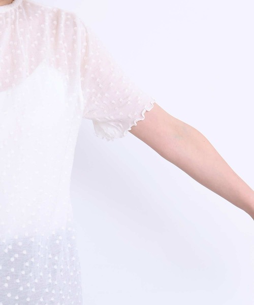 l'atelier du savon（アトリエドサボン）の「すけすけドット五分袖Tシャツ（Tシャツ/カットソー・レディース・アイボリー・FREE）」の18枚目の写真