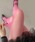 WEGO�i�E�B�S�[�j�́uWEGO/�V�A�[�J���[�^�C�c�i�^�C�c/�X�g�b�L���O�j�v�b���b�h�n���̑�