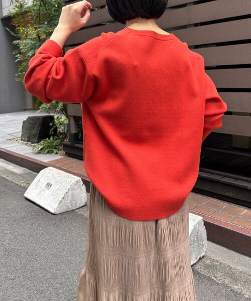 Jena espace merveilleux（ジェナ　エスパスメルヴェイユ）の「ジャガードVネックニット（ニット/セーター・レディース・チャコールグレー/オレンジ/グレー・FREE）」の22枚目の写真