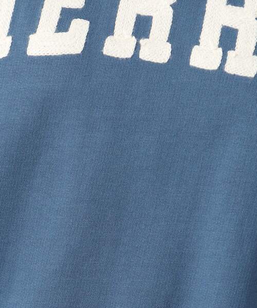 Dessin（デッサン）の「◆【ユニセックス・洗える】ロゴ刺繍Tシャツ（Tシャツ/カットソー・レディース・ブルー/ライトベージュ/ホワイト・00/01/02/03/04/05）」の18枚目の写真