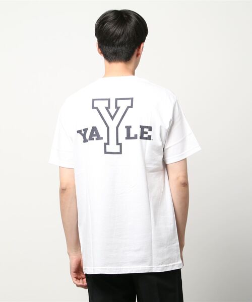SUNNY  SPORTS（サニースポーツ）の「SUNNY SPORTS / サニースポーツ Y LOGO SS TEE イェール大学 カレッジプリントTシャツ（Tシャツ/カットソー・メンズ・ライトグレー/パープル/ホワイト・XX-LARGE/MEDIUM/X-LARGE/LARGE）」の5枚目の写真