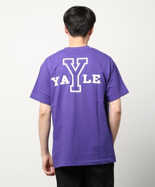 SUNNY  SPORTS（サニースポーツ）の「SUNNY SPORTS / サニースポーツ Y LOGO SS TEE イェール大学 カレッジプリントTシャツ（Tシャツ/カットソー・メンズ・ライトグレー/パープル/ホワイト・XX-LARGE/MEDIUM/X-LARGE/LARGE）」の4枚目の写真