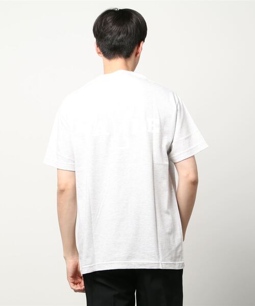 SUNNY  SPORTS（サニースポーツ）の「SUNNY SPORTS / サニースポーツ Y LOGO SS TEE イェール大学 カレッジプリントTシャツ（Tシャツ/カットソー・メンズ・ライトグレー/パープル/ホワイト・XX-LARGE/MEDIUM/X-LARGE/LARGE）」の7枚目の写真
