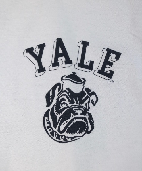 SUNNY  SPORTS（サニースポーツ）の「SUNNY SPORTS / サニースポーツ Y LOGO SS TEE イェール大学 カレッジプリントTシャツ（Tシャツ/カットソー・メンズ・ライトグレー/パープル/ホワイト・XX-LARGE/MEDIUM/X-LARGE/LARGE）」の12枚目の写真