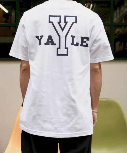 SUNNY  SPORTS（サニースポーツ）の「SUNNY SPORTS / サニースポーツ Y LOGO SS TEE イェール大学 カレッジプリントTシャツ（Tシャツ/カットソー・メンズ・ライトグレー/パープル/ホワイト・XX-LARGE/MEDIUM/X-LARGE/LARGE）」の8枚目の写真