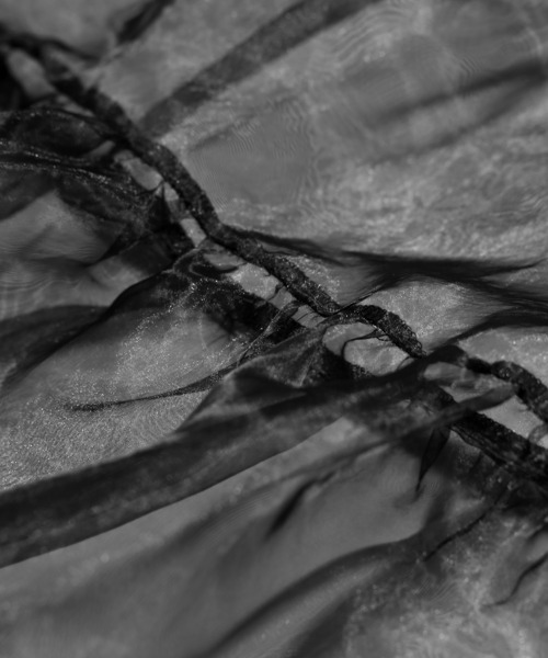 PUNYUS（プニュズ）の「オーガンジーティアードスカート（スカート・レディース・ホワイト/ブラック・1/2/4/3）」の18枚目の写真