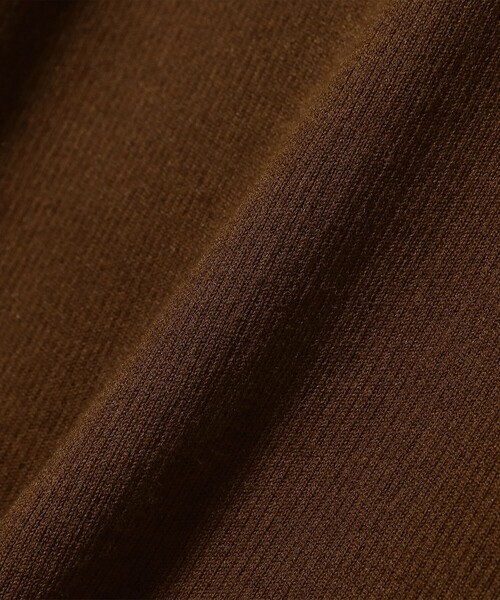 Demi-Luxe BEAMS（デミルクス ビームス）の「ハーフスリーブ ポロニット［手洗い可］（ポロシャツ・レディース・グリーン/ブラウン・ONE SIZE）」の21枚目の写真