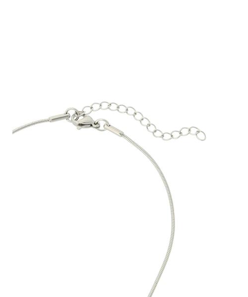 ehka sopo（エヘカソポ）の「スネークチェーンネックレス（ネックレス・レディース・シルバー・F）」の3枚目の写真