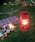 BACKYARD FAMILY�i�o�b�N���[�h�t�@�~���[�j�́u�E�H�[���E�[�� �k�d�c�t�F�[���A�����^���i�A�E�g�h�A�O�b�Y�j�v�b���b�h