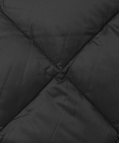 TAION(タイオン)の「【WEB限定】【TAION/タイオン】CITY PACKABLE HOOD DOWN JKT 25AW(ダウンジャケット/コート・メンズ・ブラック/ネイビー・M/L/XL)」の14枚目の写真