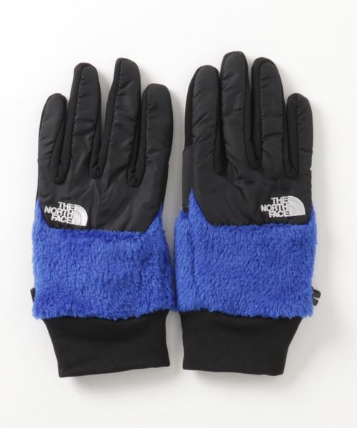 THE NORTH FACE ザ・ノース・フェイス デナリ イーチップ グローブ / DENARI ETIP GLOVE nn61919