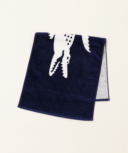 SHIPS any（シップス エニィ）の「LACOSTE:フェイスタオル（バンダナ/スカーフ・レディース・ホワイト/ブルー・ONE SIZE）」の2枚目の写真