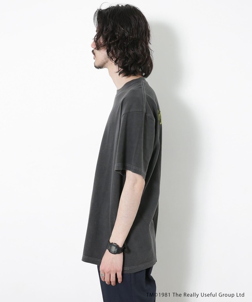 URBAN RESEARCH Sonny Label（アーバンリサーチサニーレーベル）の「AMERICAN MOTIF PRINT T-SHIRTS（Tシャツ/カットソー・メンズ・その他2/その他3/その他1/その他5/その他4・2/1）」の14枚目の写真