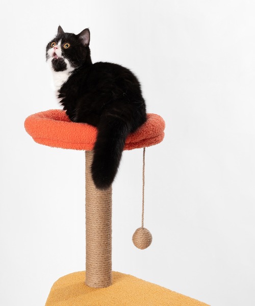 pidan（ピダン）の「キャットツリー Jump Jump（その他ペットグッズ・レディース・マルチ・ONE SIZE）」の2枚目の写真