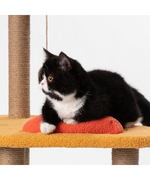 pidan（ピダン）の「キャットツリー Jump Jump（その他ペットグッズ・レディース・マルチ・ONE SIZE）」の6枚目の写真