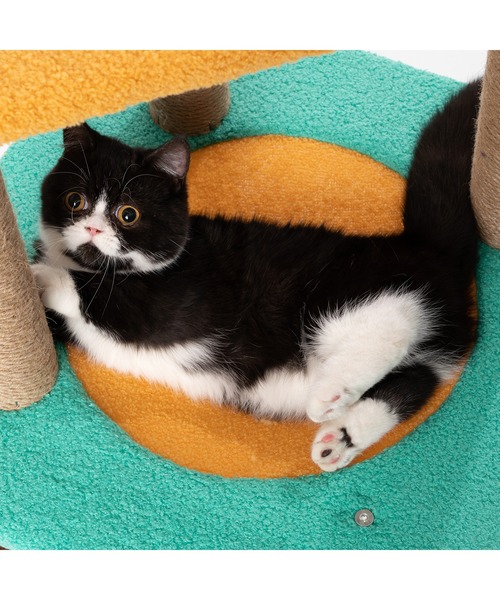 pidan（ピダン）の「キャットツリー Jump Jump（その他ペットグッズ・レディース・マルチ・ONE SIZE）」の8枚目の写真