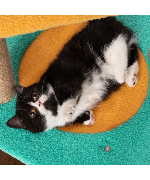 pidan（ピダン）の「キャットツリー Jump Jump（その他ペットグッズ・レディース・マルチ・ONE SIZE）」の12枚目の写真