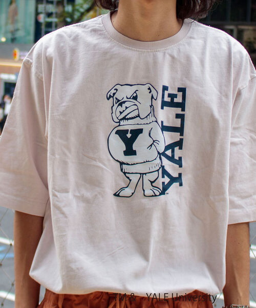 GLOSTER(グロスター)の「【YALE/イェール】別注プリントTシャツ VINTAGE DYEING カレッジロゴ(Tシャツ/カットソー・メンズ・チャコールグレー/ネイビー/オフホワイト・M/L)」の2枚目の写真